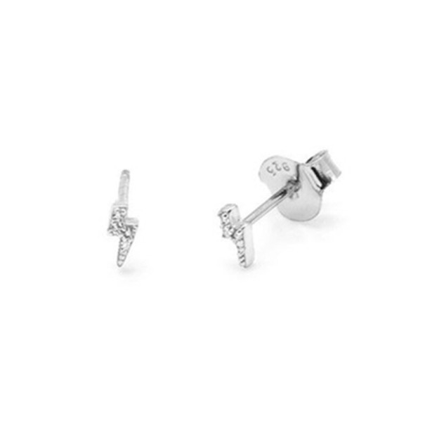 Boucles d'oreilles pour femmes R39 argenté 3