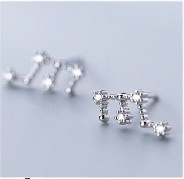 Boucles d'oreilles pour femmes signe du zodiaque 8