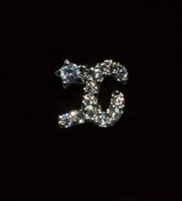 Boucles d'oreilles puces avec zircon X