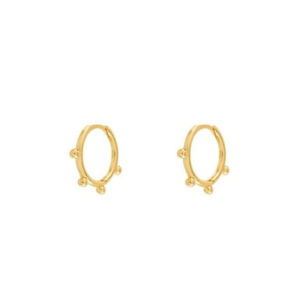 Boucles d'oreilles rondes pour femmes R23 doré 4