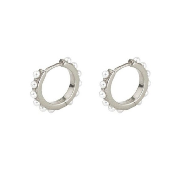 Boucles d'oreilles rondes pour femmes R42 argenté 6