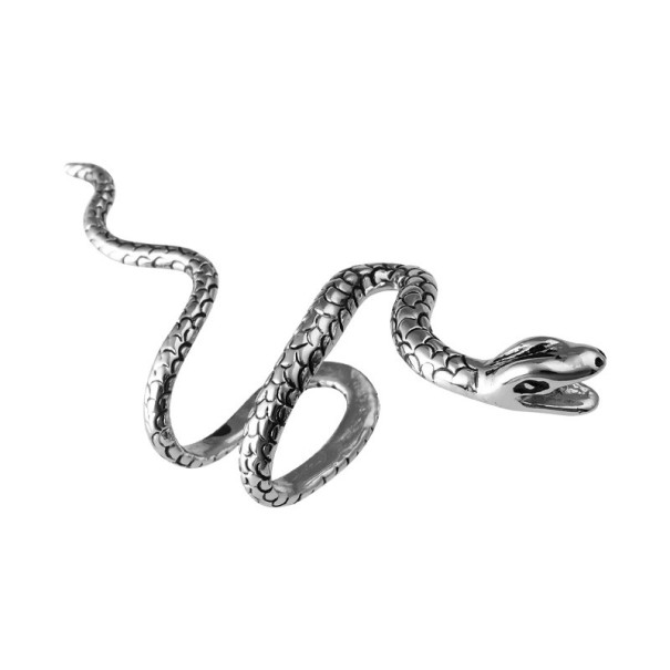 Boucles d'oreilles serpent argenté