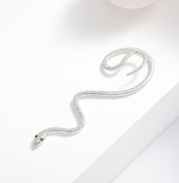 Boucles d'oreilles serpent pour femmes 1