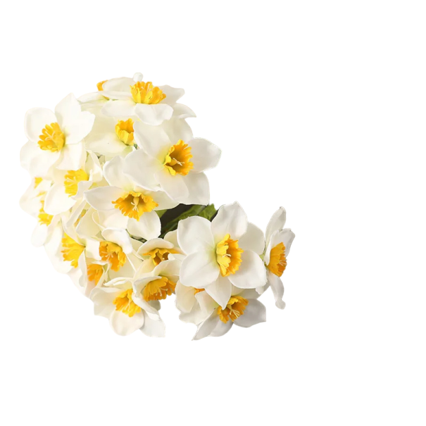 Bouquet artificiel de jonquilles pour décoration 6 pcs Fleurs décoratives blanc
