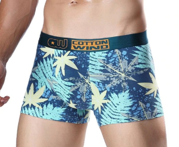 Boxers pour hommes A15 XS 2