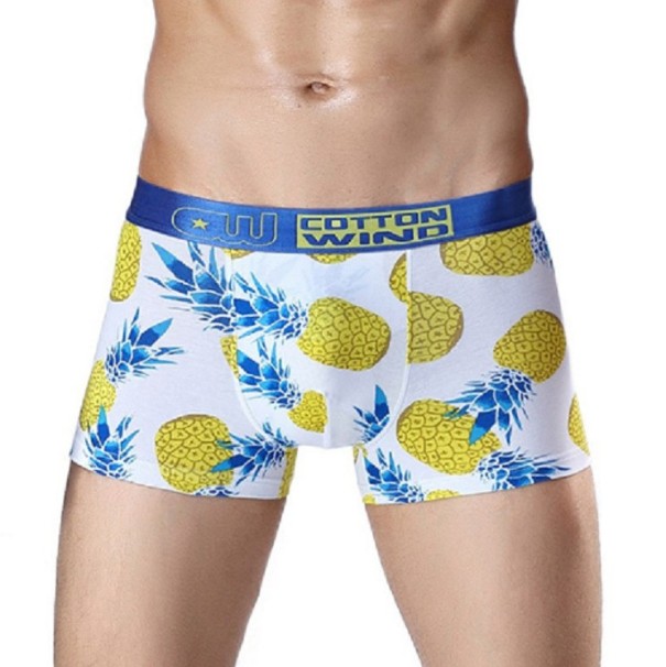 Boxers pour hommes - Fruits exotiques S 2