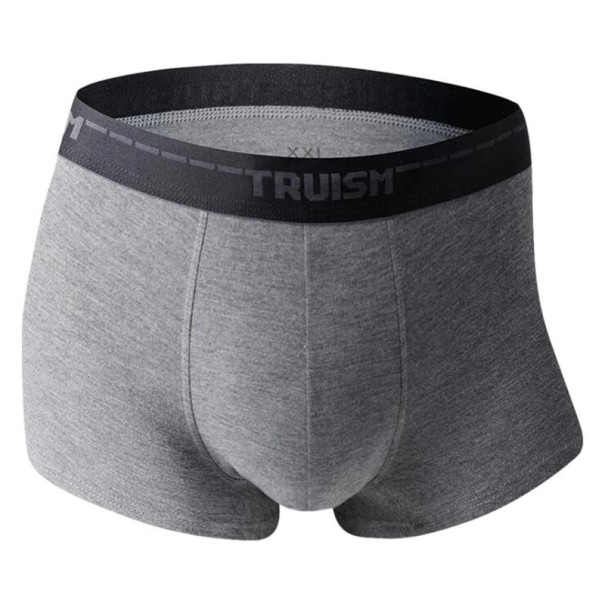 Boxershorts für Herren Aaron – 2 Stück grau L