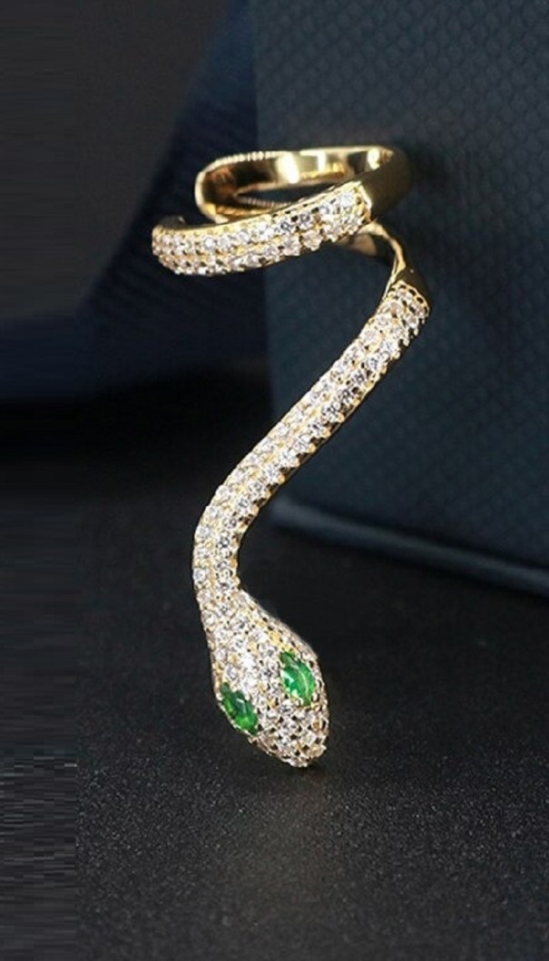 Brincos de cobra para senhora A3152 1