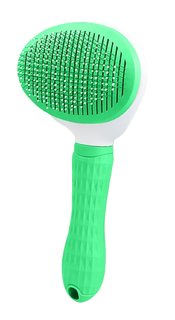 Brosse ovale pour animaux vert