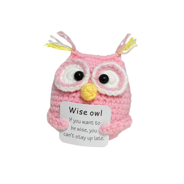 Búho tejido a crochet con inscripción positiva Decoración hecha a mano Amuleto de alegría y felicidad Talismán de energía positiva Regalo original rosa