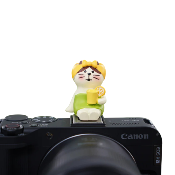 Cache de flash pour appareil photo Base universelle Protection décorative motif chat avec serre-tête et boisson pour Sony Nikon Canon Fuji Pentax 1