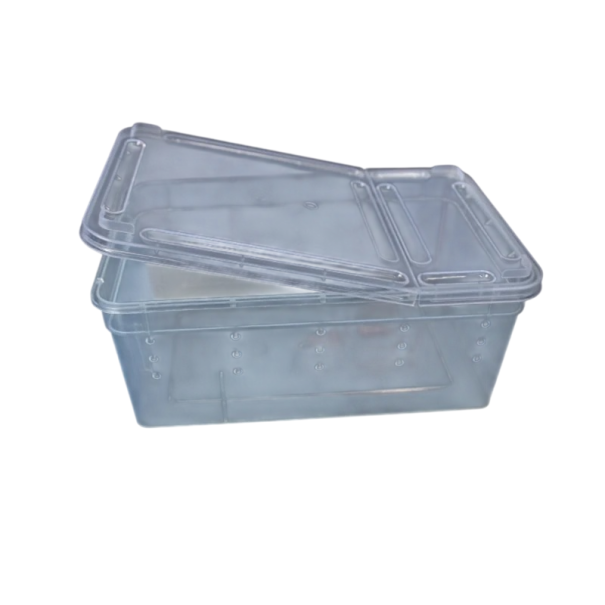 Caixa de plástico transparente para transporte de insetos com aberturas de ventilação 172 x 75 x 107 x 190 x 125 mm plástico transparente para criação e transporte 1
