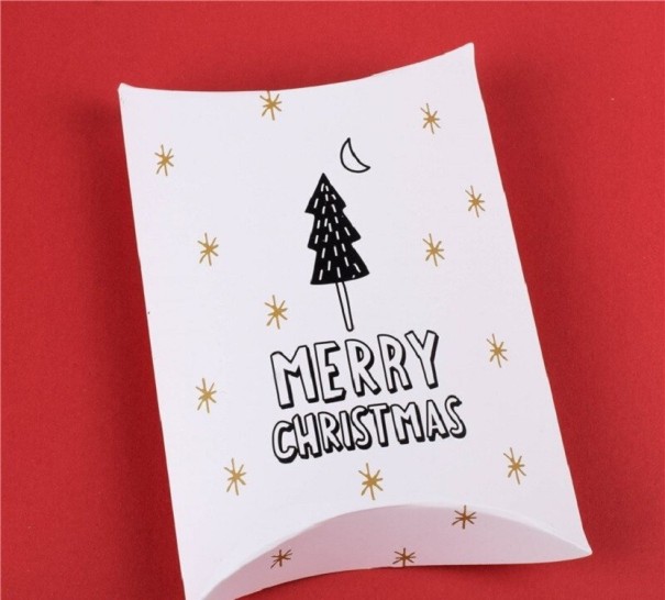 Caja de regalo navideña 10 uds C621 3