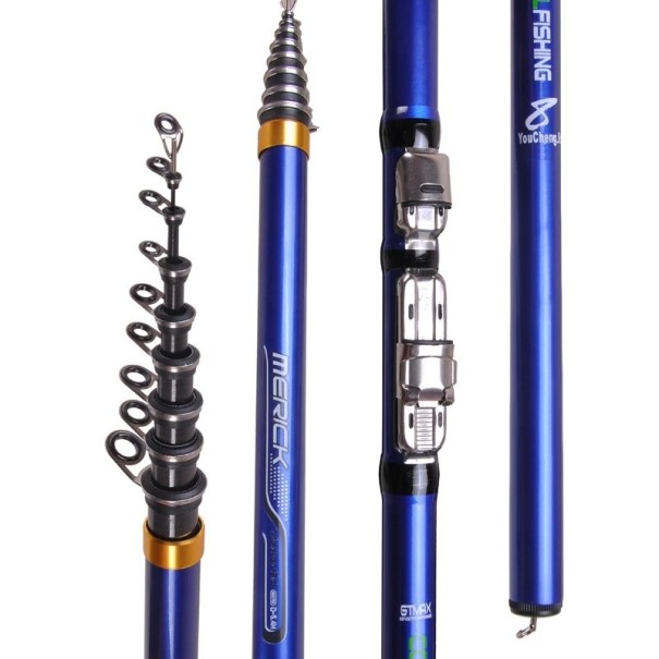 Canne à pêche pour carpe 4,4 m 1