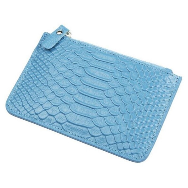 Capa de viagem para documentos T1110 azul claro