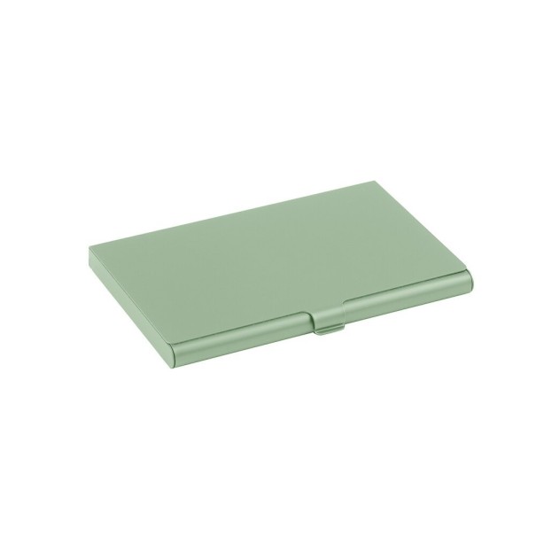 Capa de viagem para documentos T966 verde claro