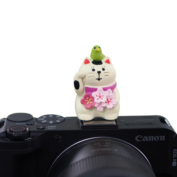 Capac pentru blițul aparatului foto cu pisică și păsărică Universal pentru montură Protecție decorativă pentru Sony Nikon Canon Fuji Pentax Leica Olympus 1