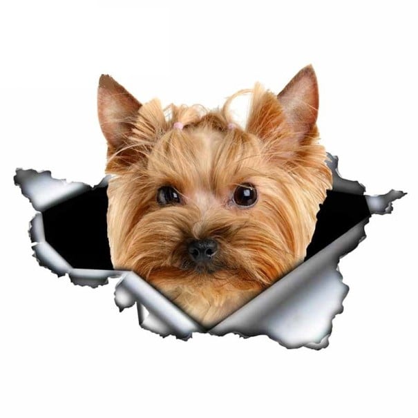 Car Sticker Dog 2