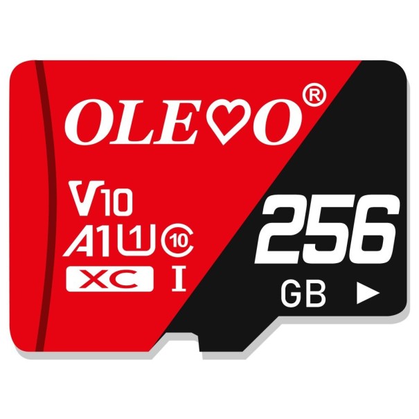 Card micro SDHC / SDXC K222 256GB