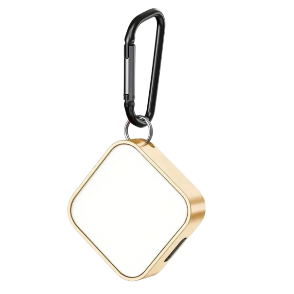 Caricabatterie wireless portatile per Apple Watch con 8pin + Tipo C, interfaccia duale, ricarica rapida per Series 1-9, SE, Ultra, 5V 1A oro