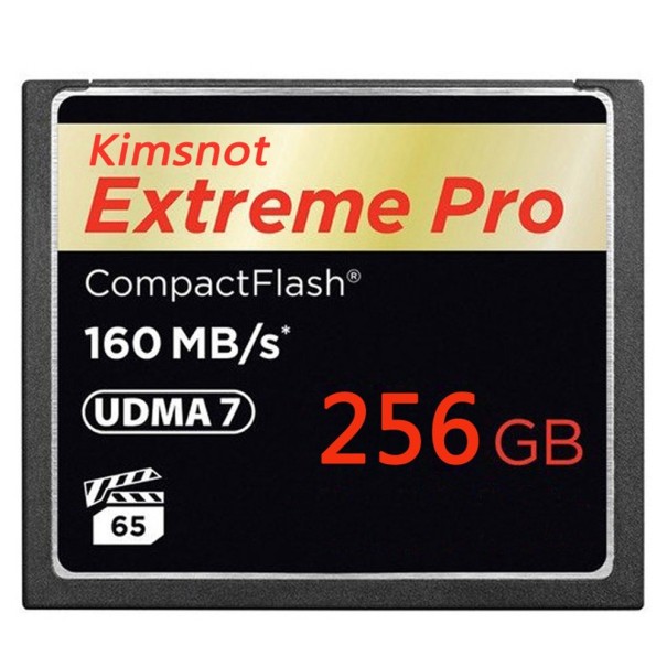 Cartão de memória CompactFlash A1528 256GB