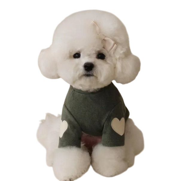 Casaco de Inverno para Cães 2,5 - 4 kg Casaco Quente para Pequenos Cães Casaco Aconchegante Proteção Contra o Frio Roupa de Inverno verde escuro