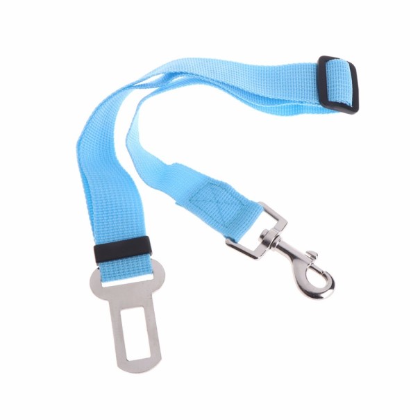 Ceinture de sécurité pour chien dans la voiture bleu clair