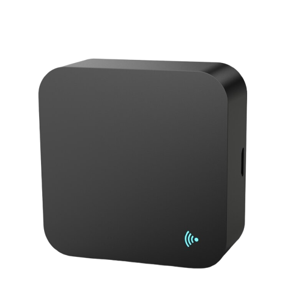 Central Unit for Smart Home 1