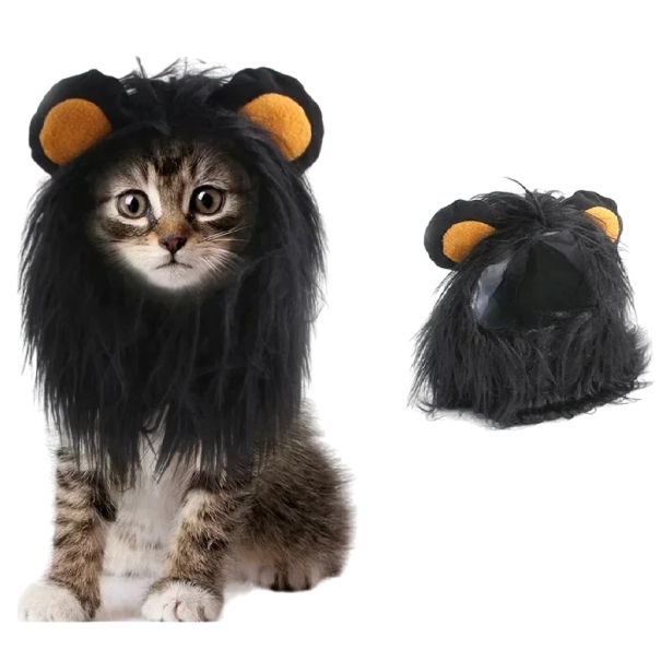 Černý lví obleček pro kočku Halloweenský obleček pro kočky Roztomilý obleček pro domácí mazlíčky Lví hříva pro kočky S