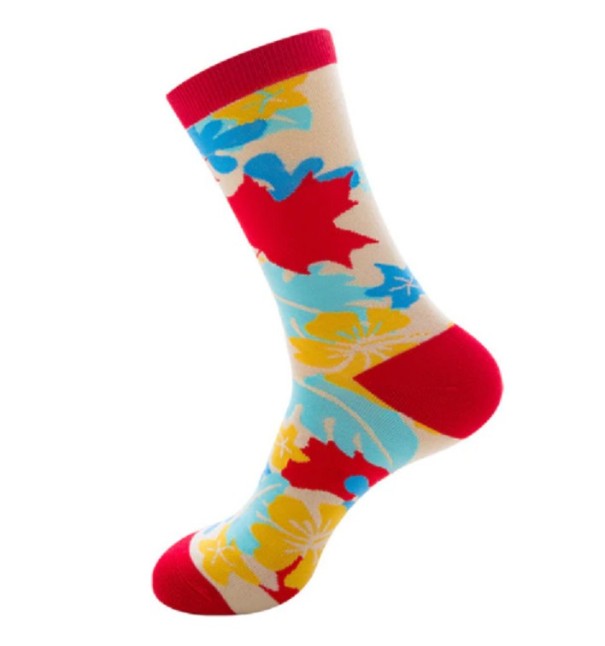 Chaussettes pour hommes Devin 3