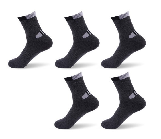 Chaussettes pour hommes Hanson - 5 paires 8