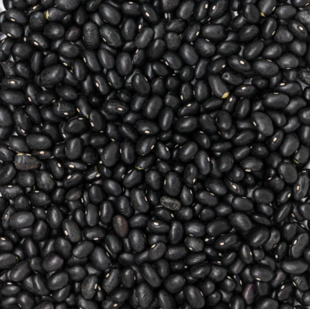 Čierne fazuľa semienka 50 ks Phaseolus vulgaris semená Jednoduché pestovanie 1