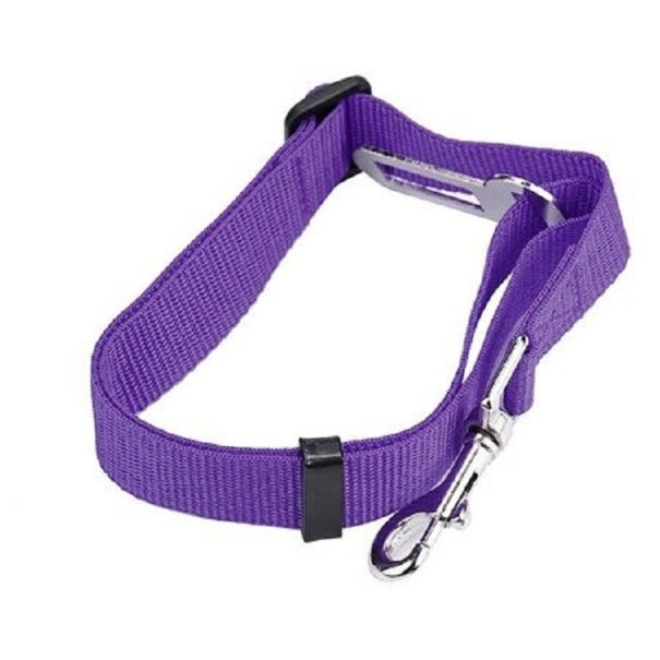 Cinto de segurança para cão no carro roxo