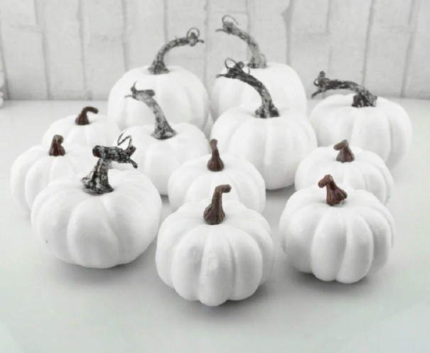 Citrouilles décoratives en plastique 12 pcs 1