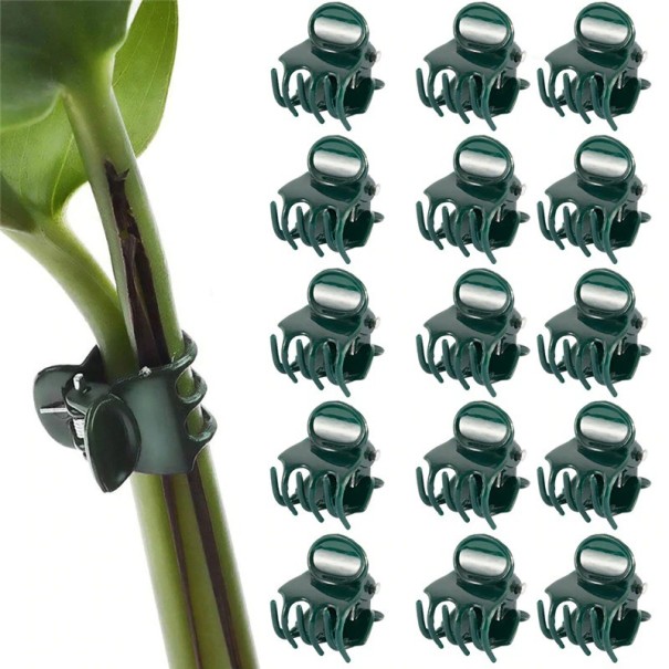 Clips für Orchideen 100 Stk 1