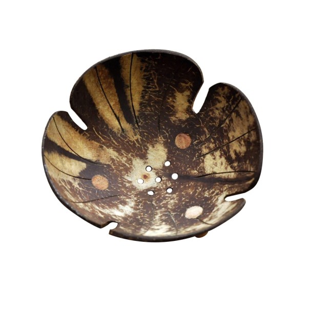 Coconut Wood Soap Dish 5