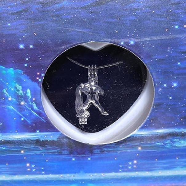 Collar con el signo del zodiaco para mujer 11