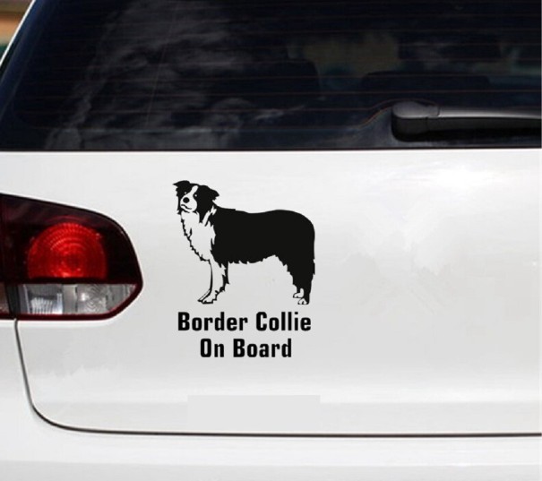 Collie auto sticker 5