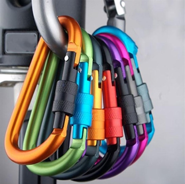Colourful Carabiner with Ring Closure 1