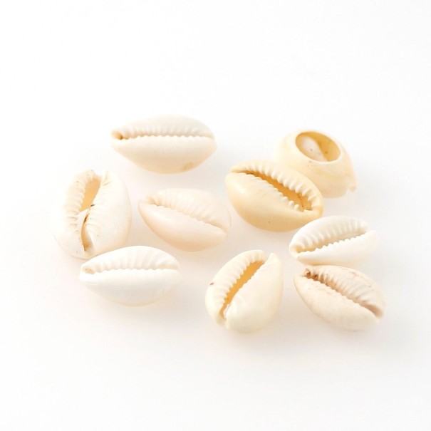 Conchas decorativas 20 uds. crema