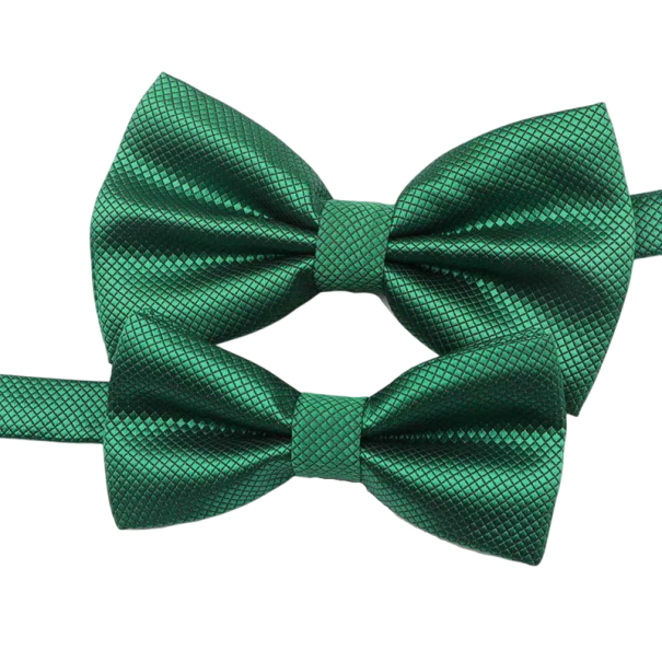 Conjunto de gravatas borboleta para pais e filhos Gravatas borboleta elegantes para homens e crianças Conjunto para eventos sociais Acessórios familiares coordenados Gravatas estilosas verde