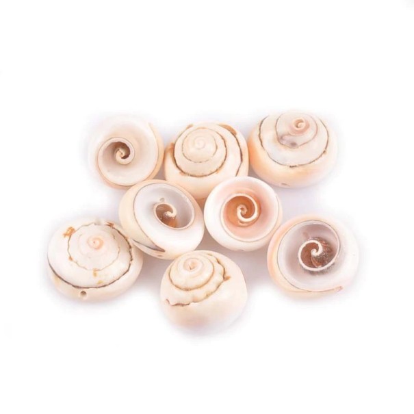 Coquille marine 10 pcs A2716 1