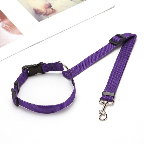 Correa de seguridad para perro en el coche morado