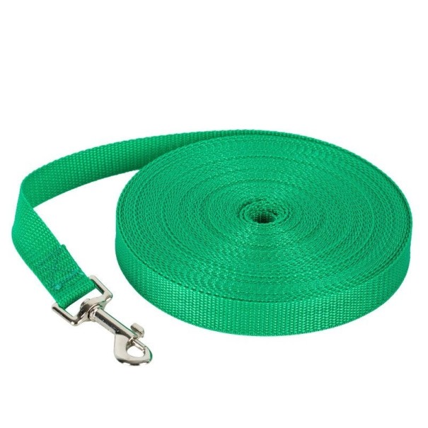 Correa para perro verde 3 m