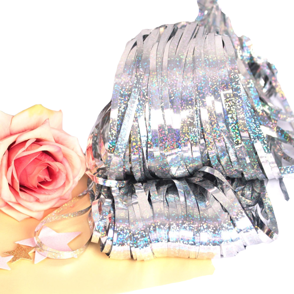 Cortina de fiesta con flecos, brillante, 1 x 1 m plateado