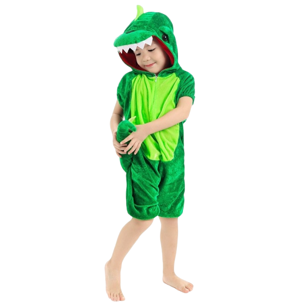 Costum de dinozaur verde 4