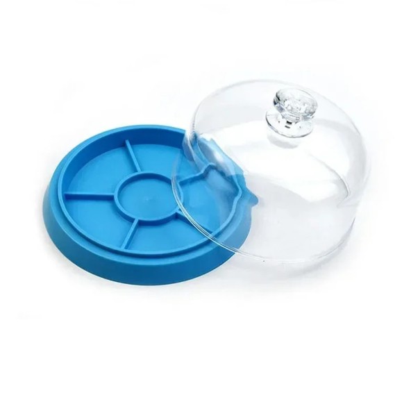 Couvercle anti-poussière pour montres avec 6 compartiments Couvercle anti-poussière avec un couvercle transparent et une base en plastique Protection des pièces de montres lors des réparations bleu