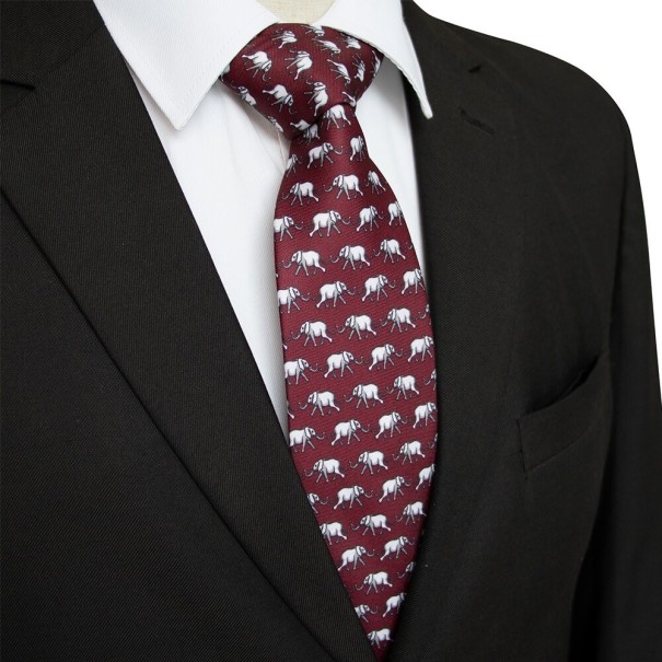 Cravate pour homme T1236 14