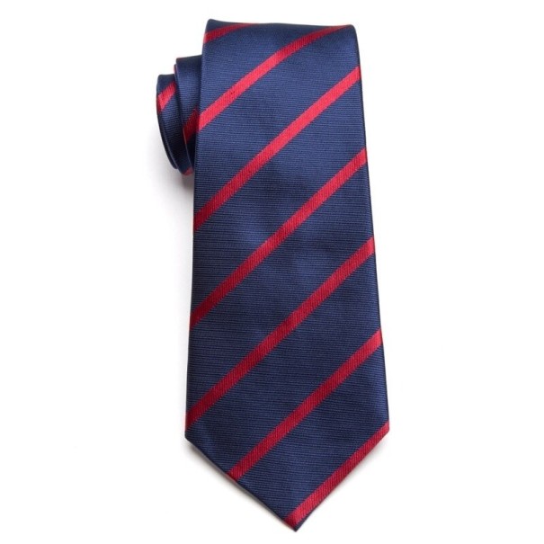 Cravate pour homme T1247 6