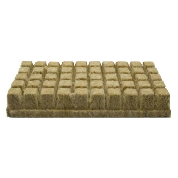 Cubos de plantación 50 uds.